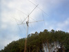 ZV5O Image